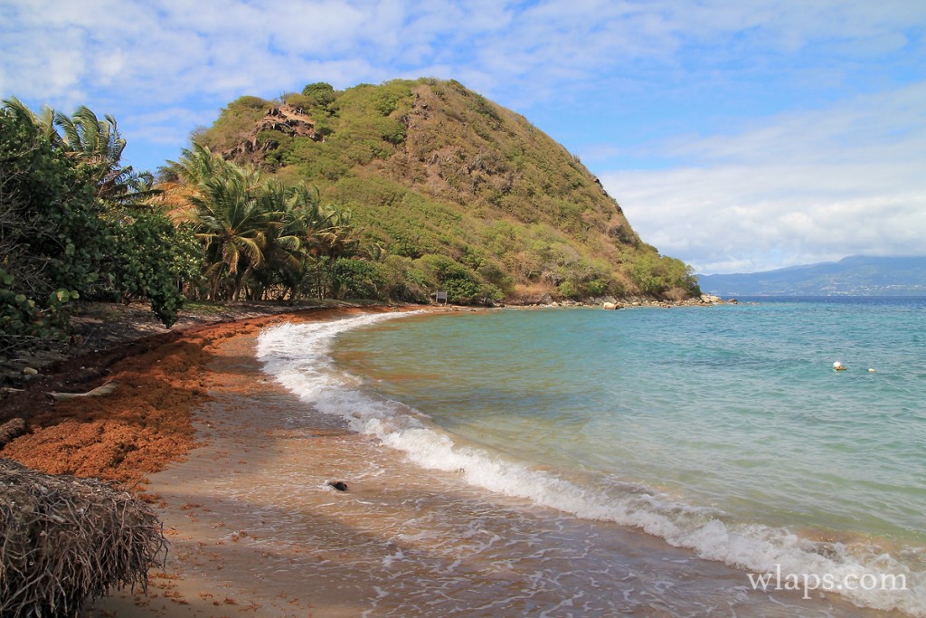 A quoi ressemblent les plages des Saintes ? Wlaps A quoi ressemblent les plages des Saintes ? Wlaps