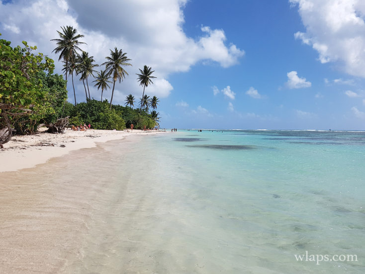 vue-mer-plage-bois-jolan-guadeloupe