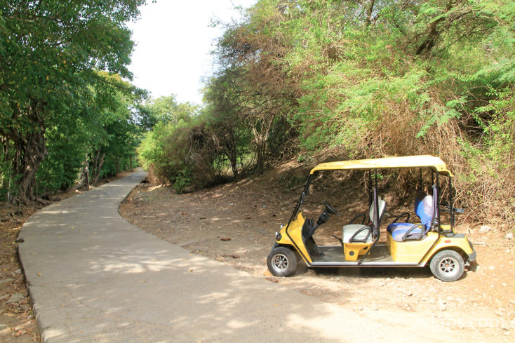 2-location-golfettes-terre-de-haut-les-saintes-ecco-location-guadeloupe