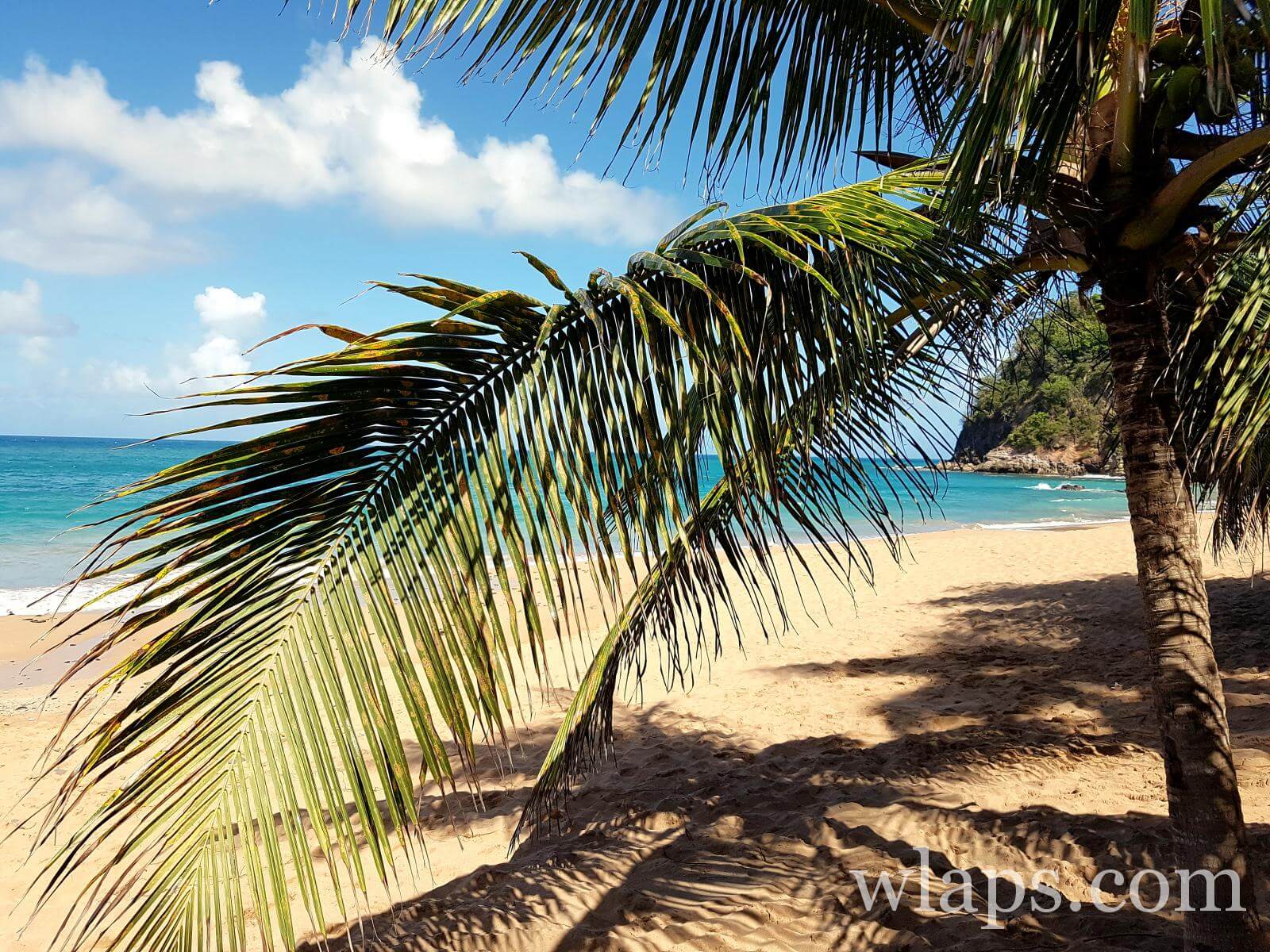 la-plage-naturiste-anse-tillet-guadeloupe-1 - Wlaps