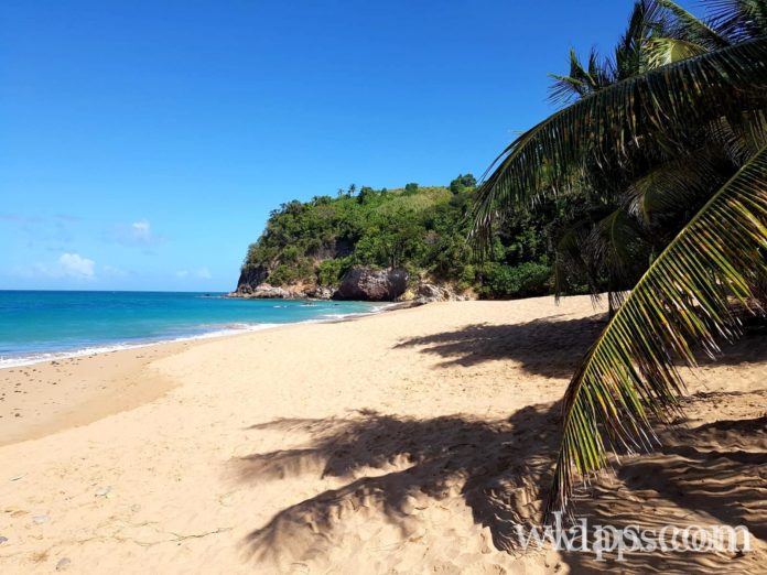 la-plage-naturiste-anse-tillet-guadeloupe
