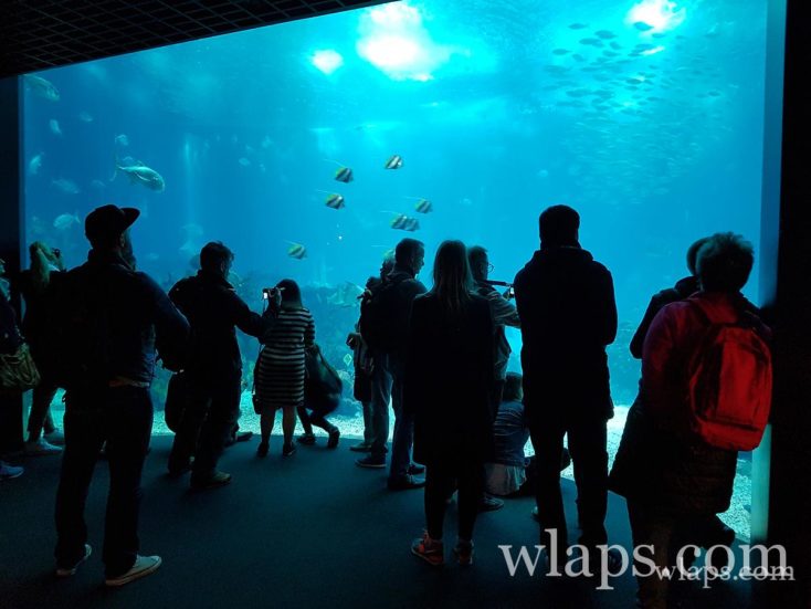 Oceanarium de Lisbonne