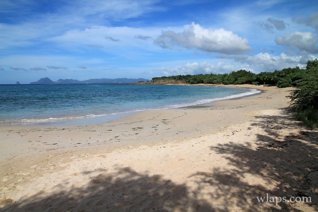 Petite Anse des Salines : une plage méconnue près de Sainte Anne - Wlaps