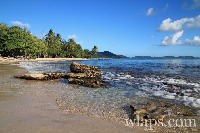 sainte-luce-anse-desert-martinique