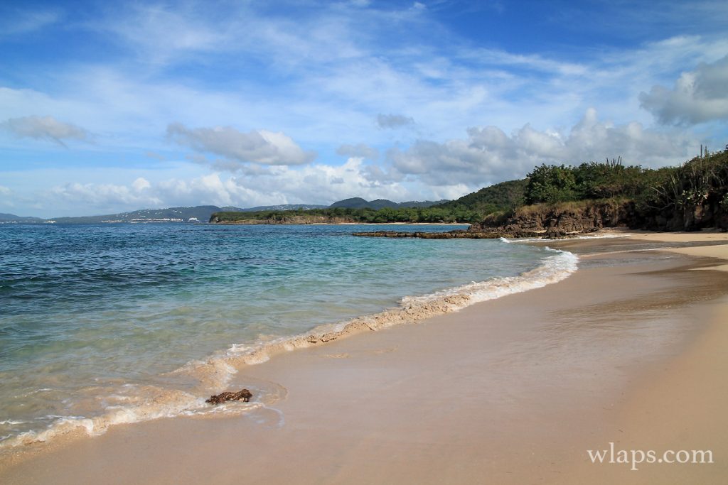 Petite Anse des Salines : une plage méconnue près de Sainte Anne - Wlaps