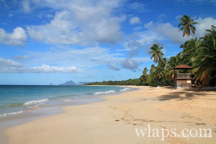 plage-des-salines-martinique
