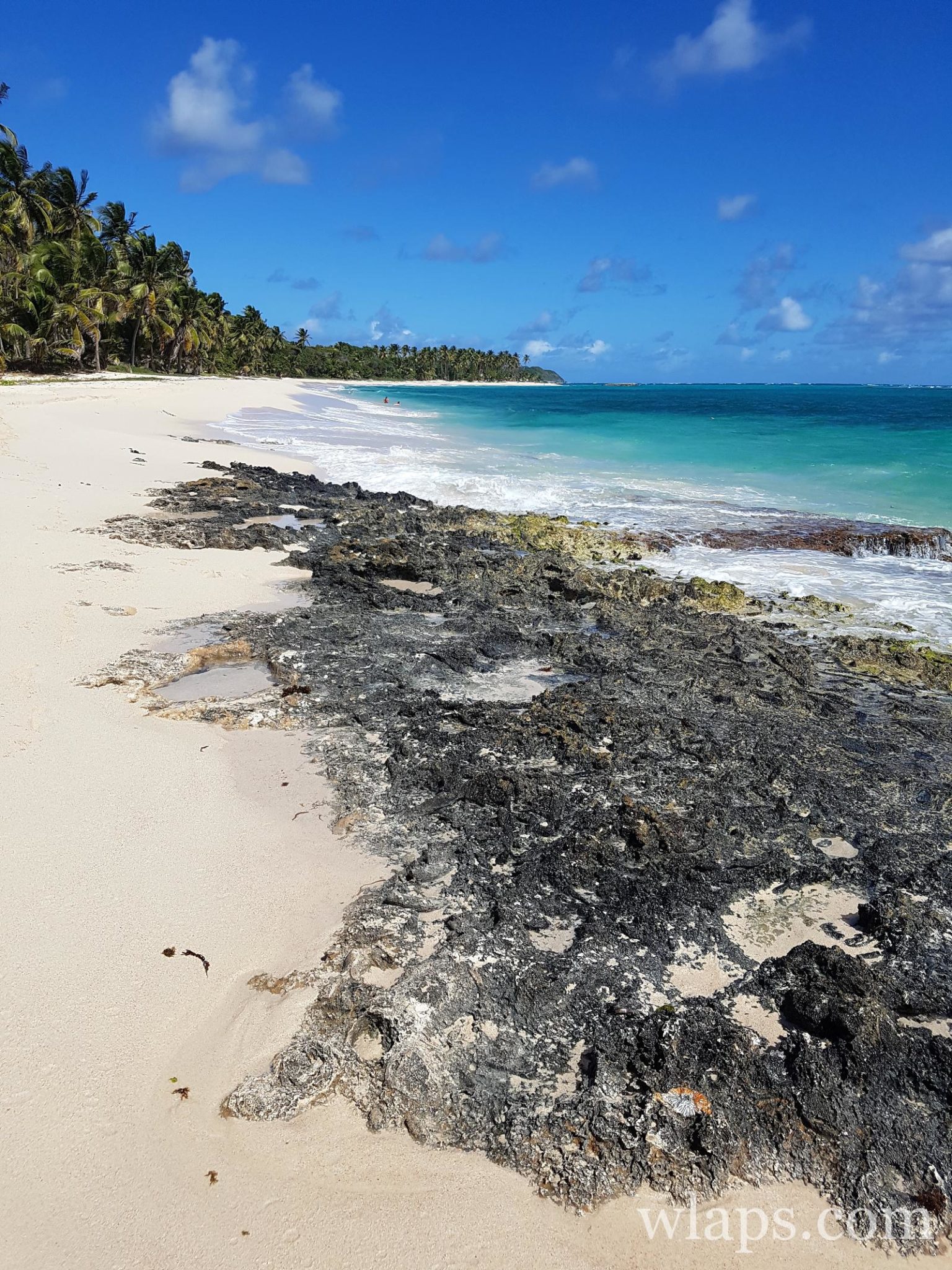 Plage de la Feuillère à MarieGalante la plus belle plage des Caraïbes Wlaps Plage de la Feuillère à MarieGalante la plus belle plage des Caraïbes Wlaps