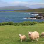 2-paysage-ile-de-skye-ecosse