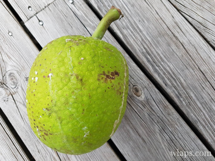 Les marchés en Basse-Terre en Guadeloupe