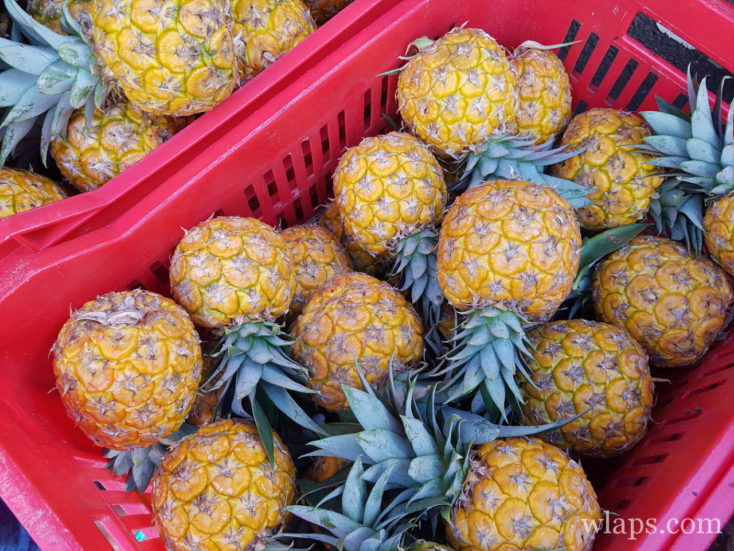 Marché agricole nocturne de Bouillante en Guadeloupe