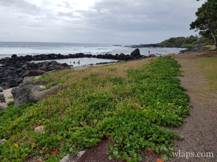 Plage de Grand Bois à l'ile de La Réunion