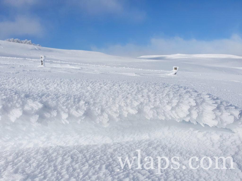 Un paysage lors de notre randonnée en raquettes à neige dans le PNR d'Aubrac
