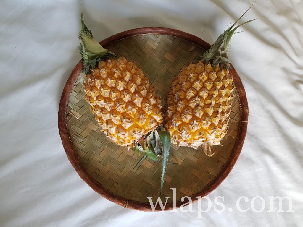 deux ananas de l'ile de la réunion ramenés en souvenirs