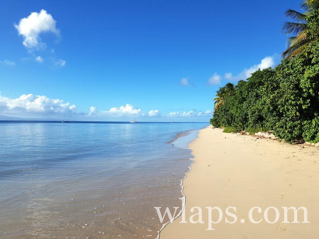 Une plage à découvrir lors de votre visite à Marie Galante