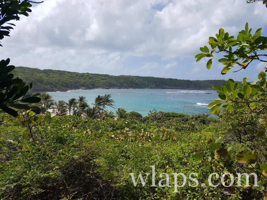 Vue sur la plage naturiste de Anse Tarare en Guadeloupe