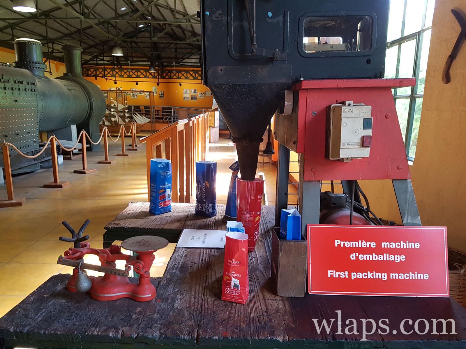 visite de l'usine de thé de bois chéri à maurice