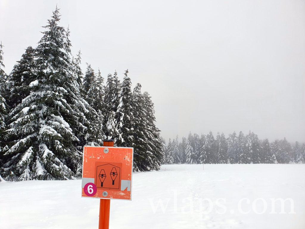 Un paysage lors de notre randonnée en raquettes à neige dans le PNR d'Aubrac