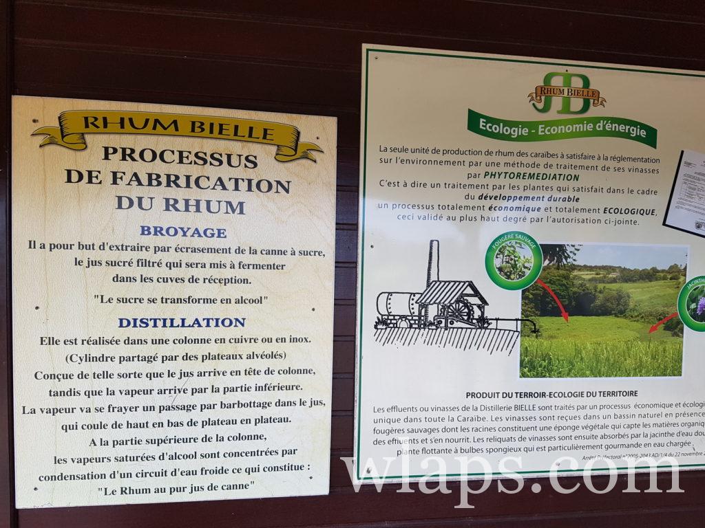 Visiter la distillerie Bielle à l'île de Marie Galante