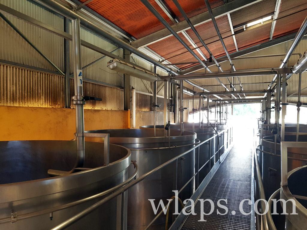 Visite du hangar à cuves de la distillerie Bielle à Marie-Galante