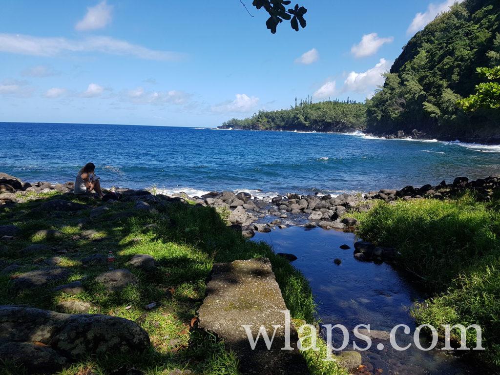 Lecture face à l'Océan Indien dans le Parc de l'Anse des Cascades à la réunion