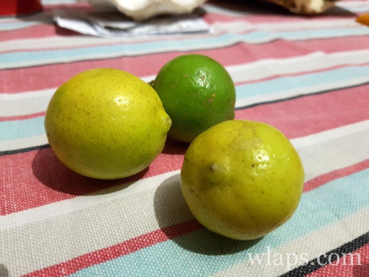 fruits exotiques que l'on ne trouve qu'ici : citrons limons de l'ile de Rodrigues à l'ile Maurice