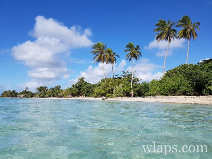 Plage près du restaurant pour manger en Guadeloupe