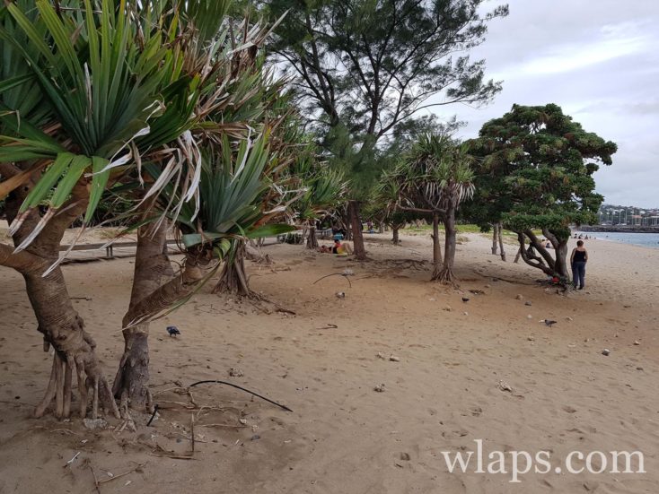 La partie gauche de la plage de Saint Pierre à l'ile de La Réunion