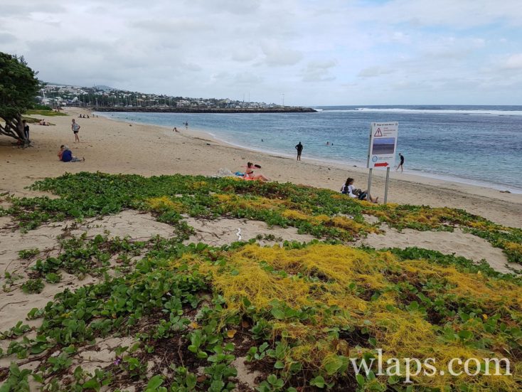 La partie gauche de la plage de Saint Pierre à La Réunion