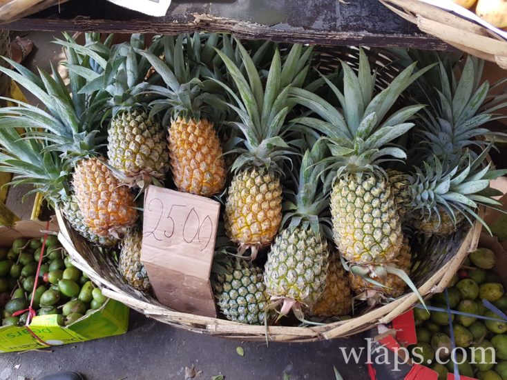 ananas Victoria à l'ile Maurice : mon fruit exotique favori à l'ile Maurice !