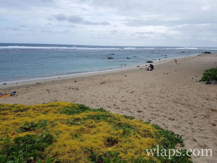 La partie droite de la plage de Saint Pierre à l'ile de La Réunion