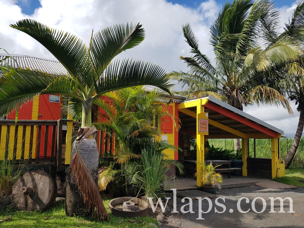 Visite de la Distillerie de Savanna à La Réunion