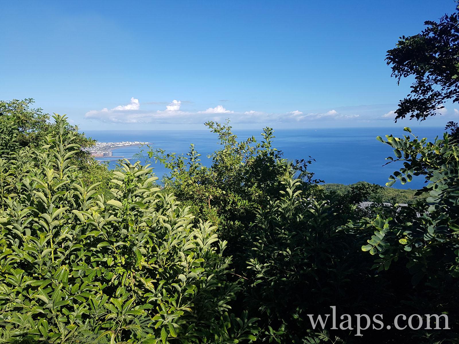 la vue depuis notre terrasse avec piscine à la réunion