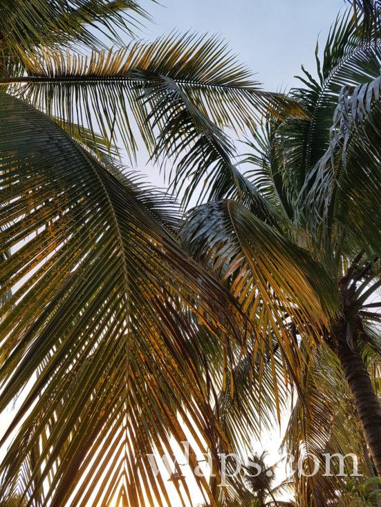 lever de soleil en guadeloupe