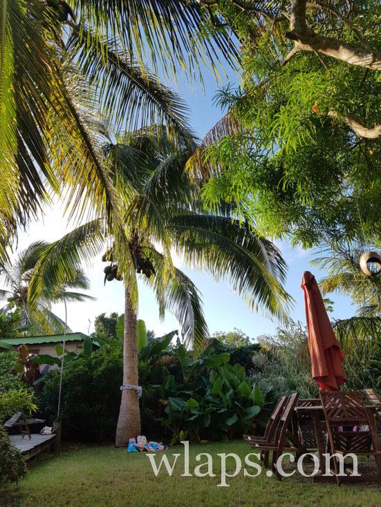 lever de soleil à noel en guadeloupe