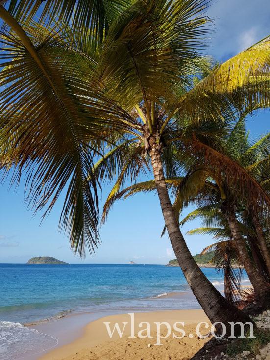 Anse Rifflet en guadeloupe