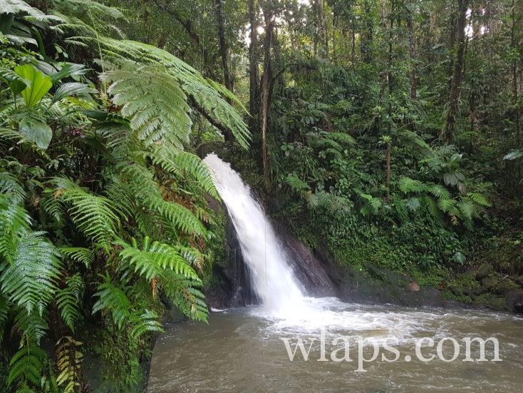 Cascade aux Ecrevisses en Guadeloupe