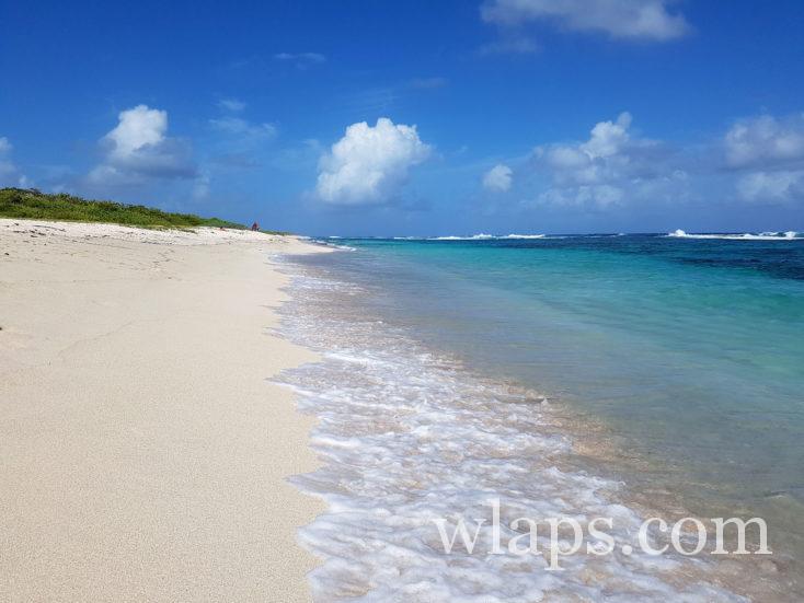 La plage des Salines en Guadeloupe