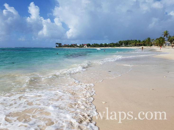 Plage des Raisins Clairs en Guadeloupe