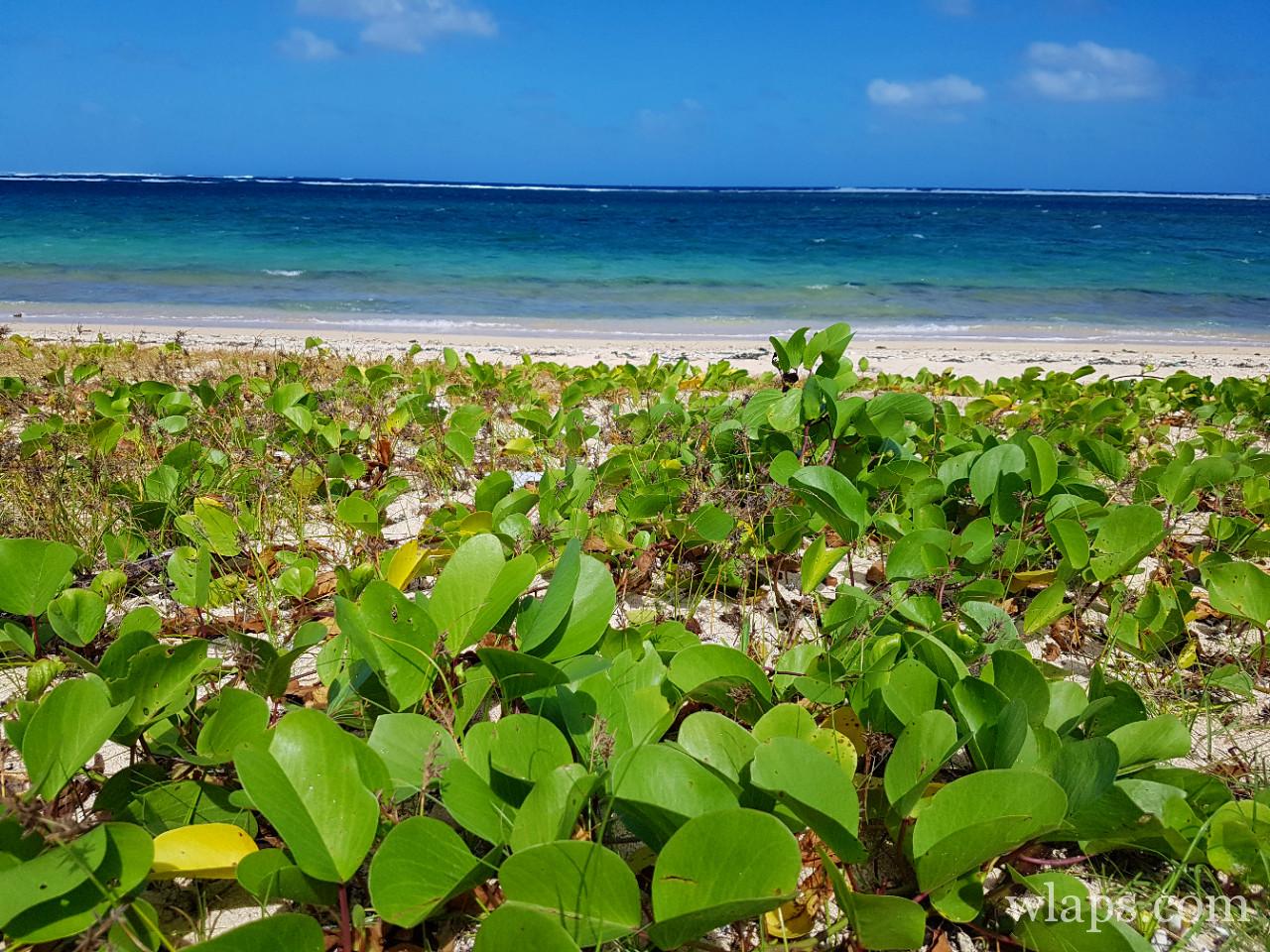 La plage de la Prairie à l'île Maurice