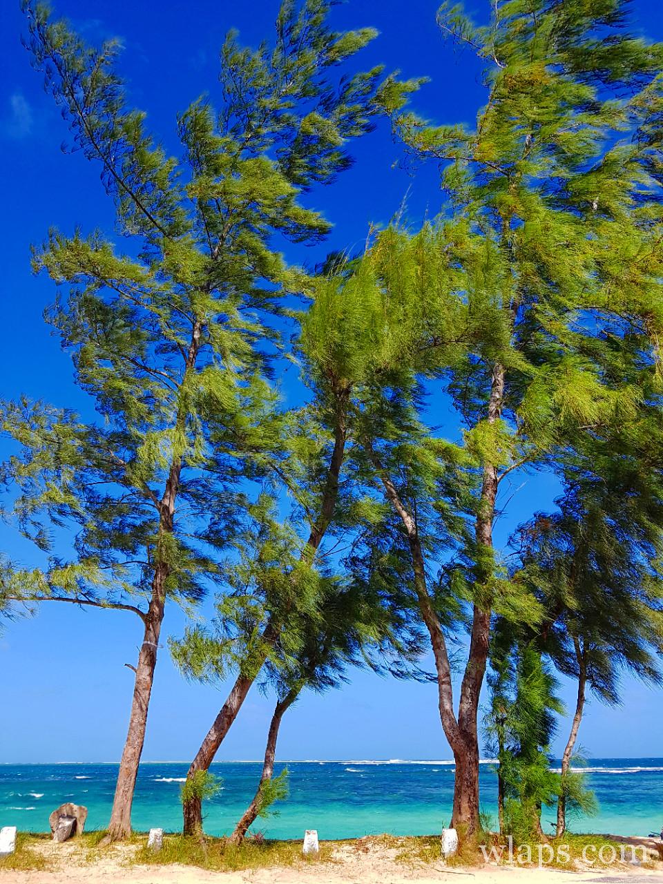 La plage de la Prairie à l'île Maurice