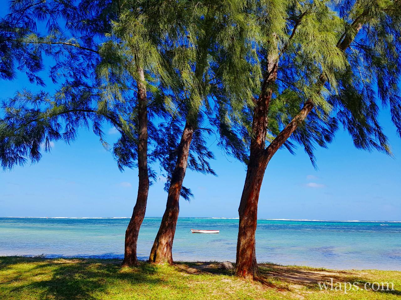 Plage de Bel Ombre à l'île Maurice : le joyau du sud
