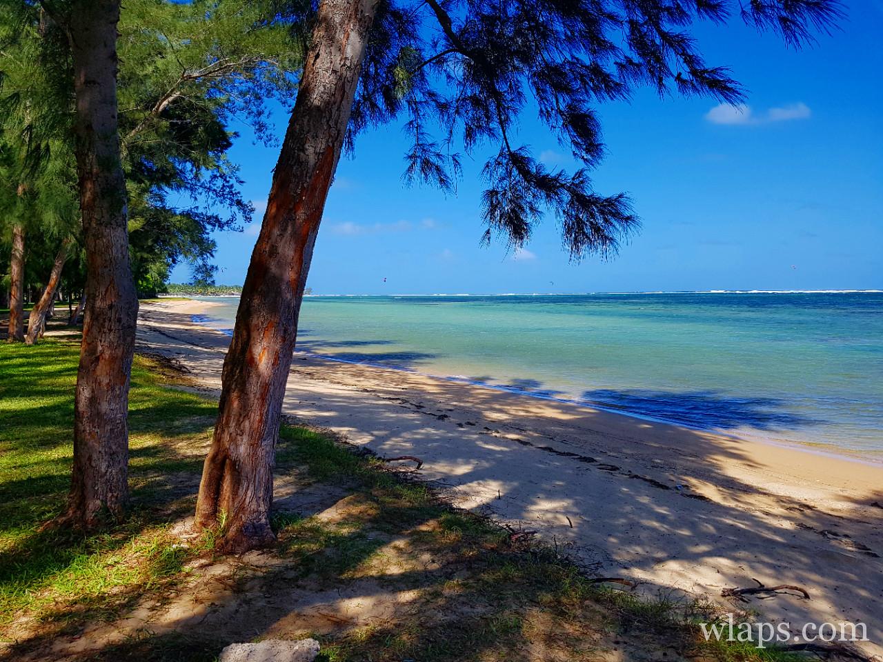 La plage de Bel Ombre à l'île Maurice
