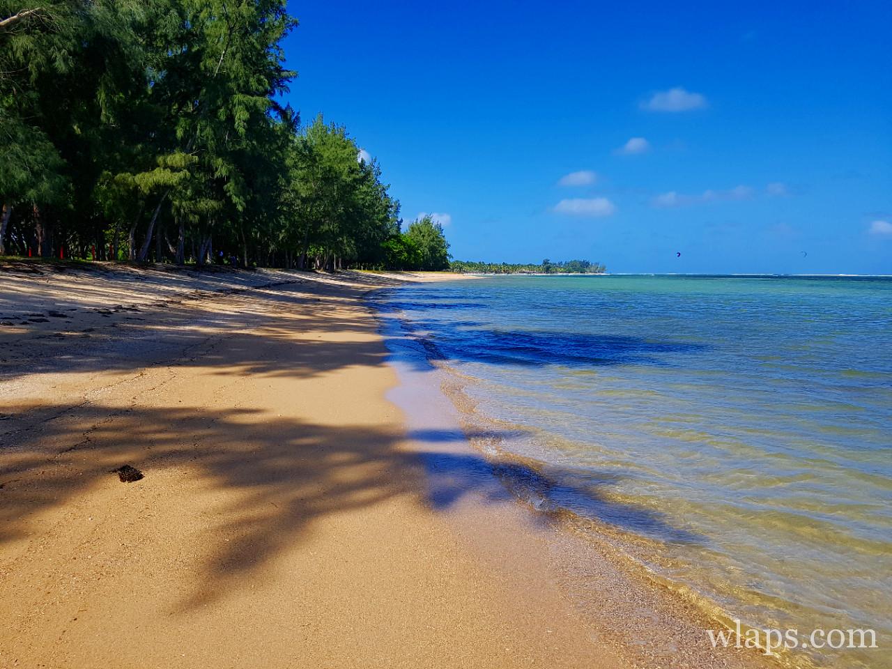 La plage de Bel Ombre à l'île Maurice