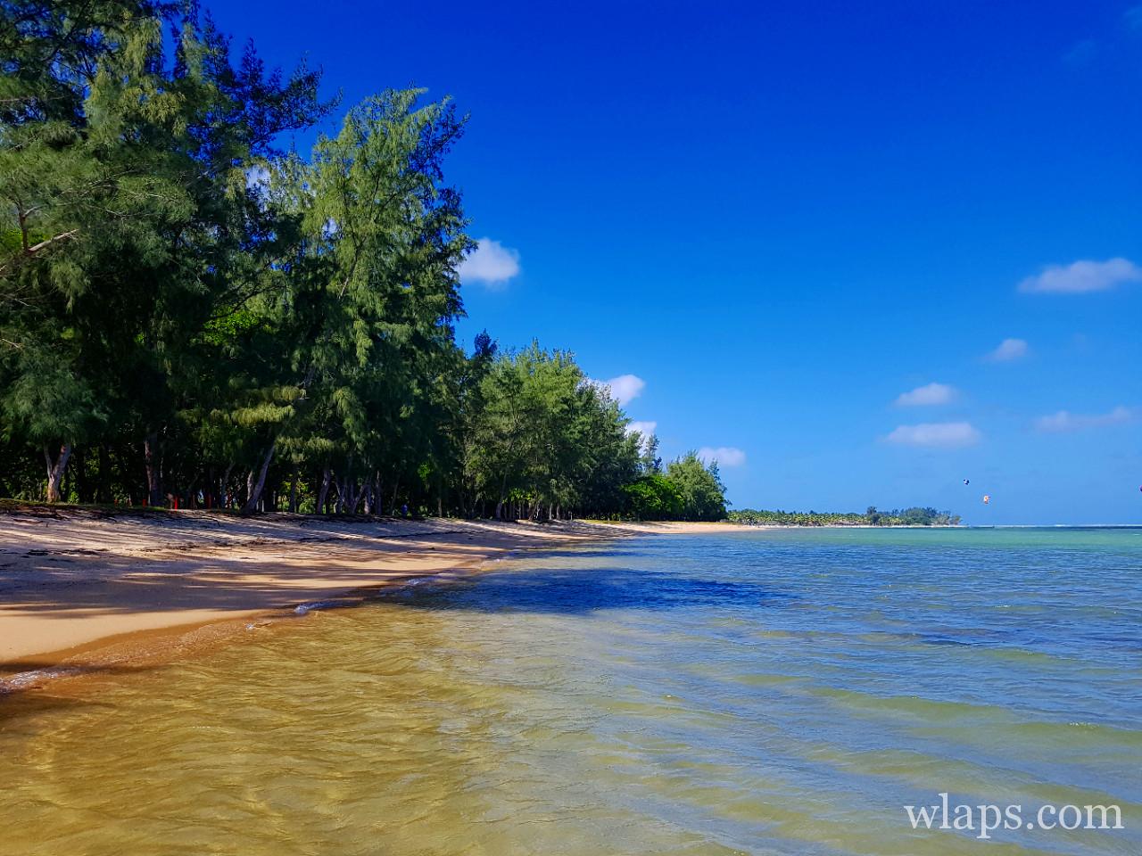 La plage de Bel Ombre à l'île Maurice