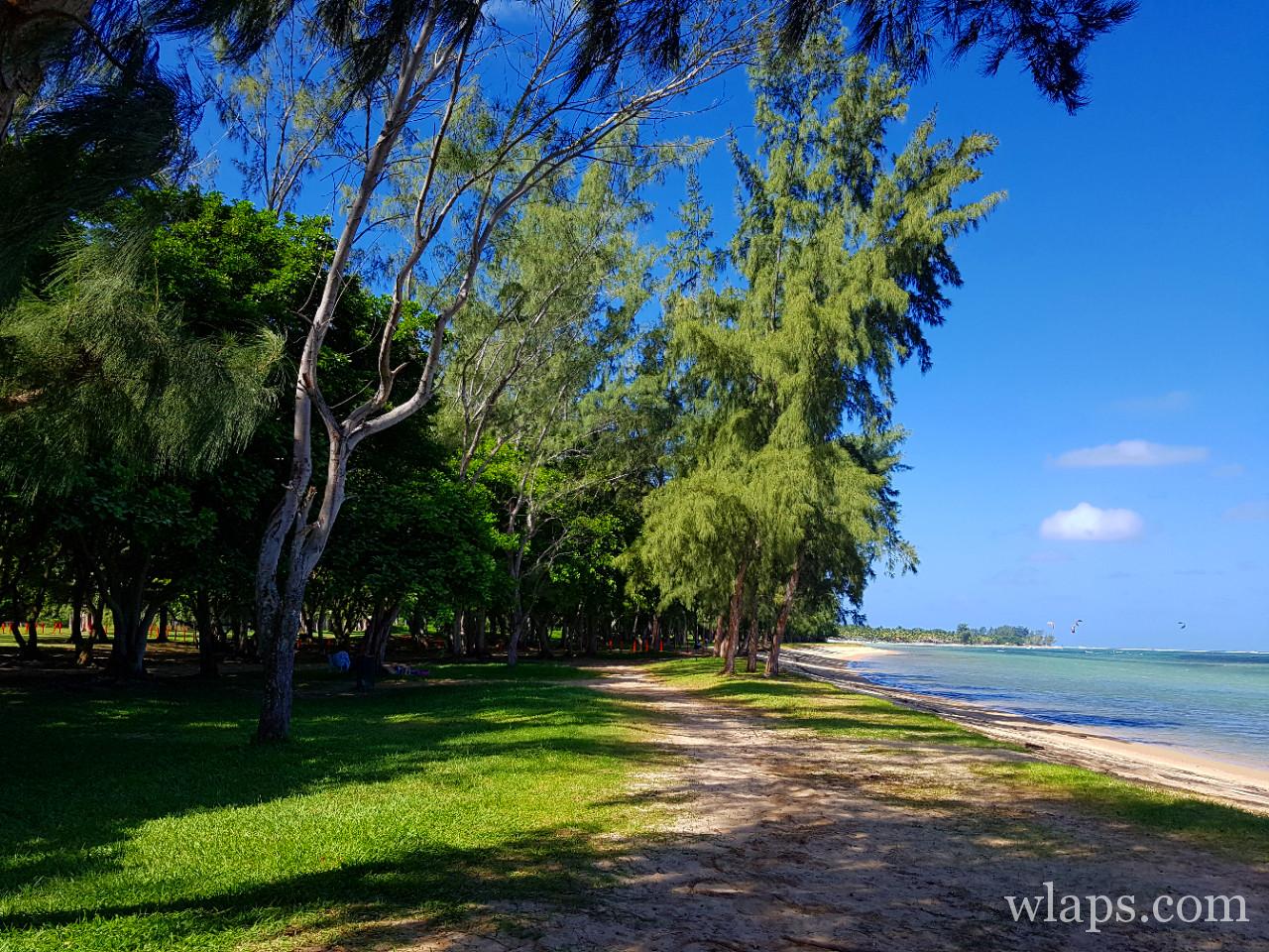La plage de Bel Ombre à l'île Maurice