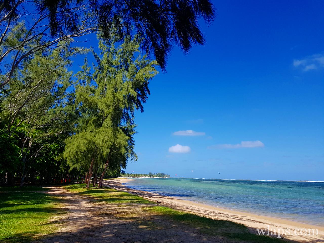 La plage de Bel Ombre à l'île Maurice