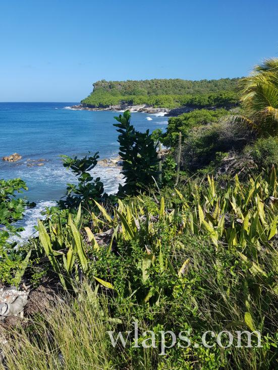 plage à galets à la désirade