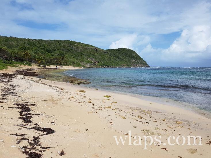 La plage de Anse Maurice en Guadeloupe