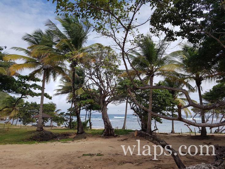 La plage de Anse Maurice