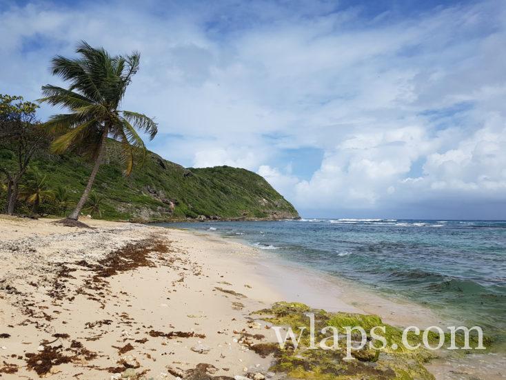 La plage de Anse Maurice à Petit Canal